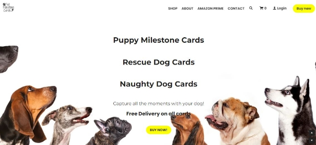 寵物品牌啟動網站範例 寵物品牌啟動網站範例